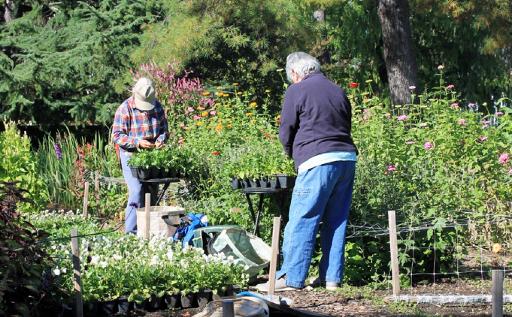 Garden Volunteers at Hillwood