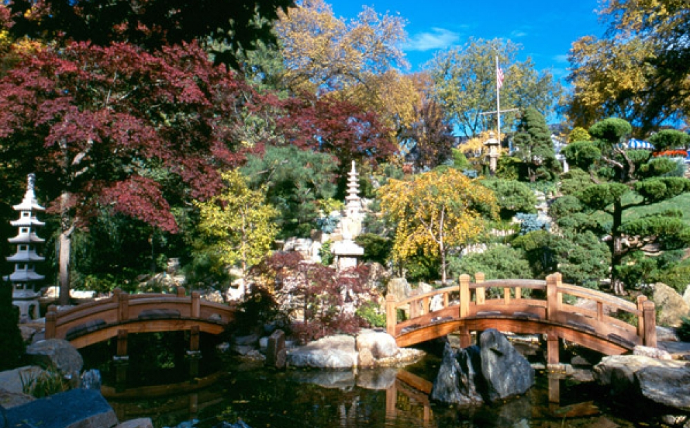 Japanese-style Garden at Hillwood