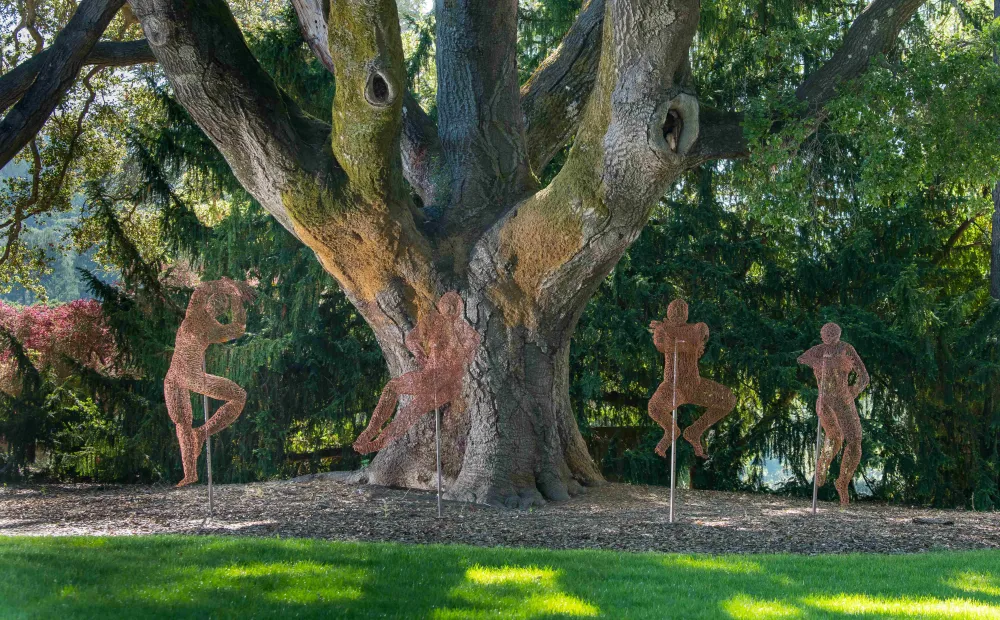 Rich Soil at Filoli