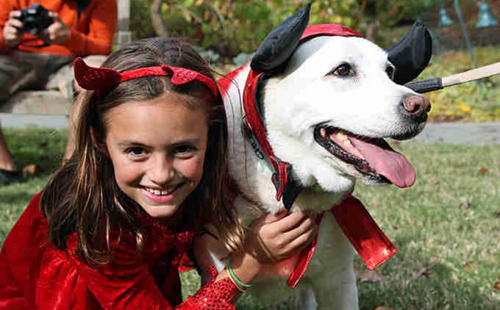 child and dog in costumes