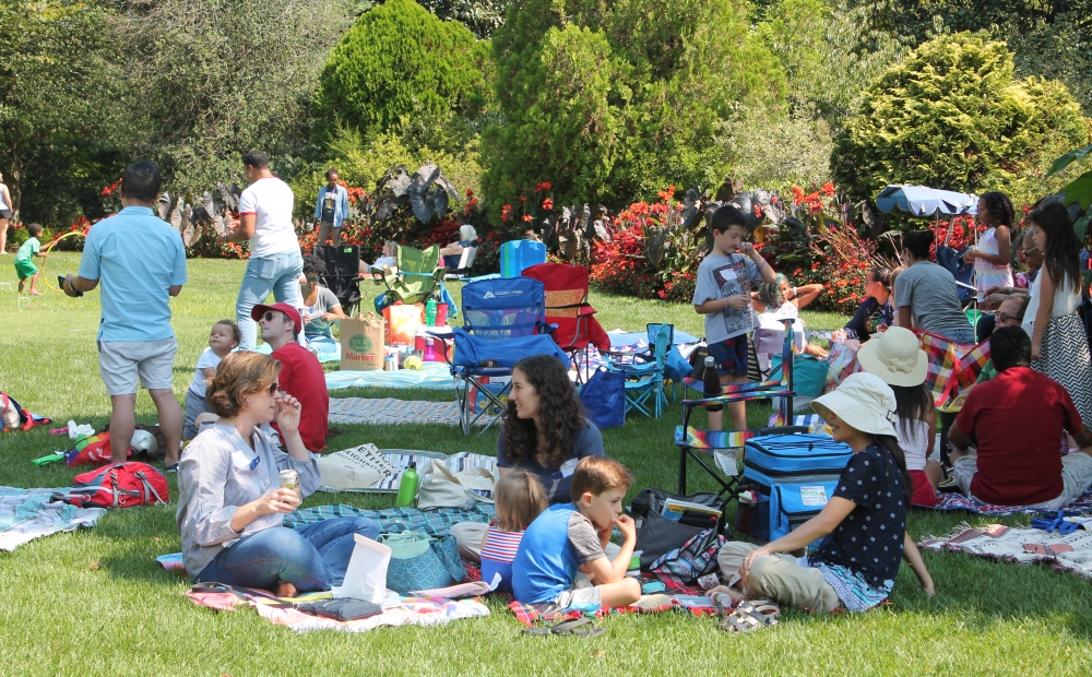 Families picnicking on lawn
