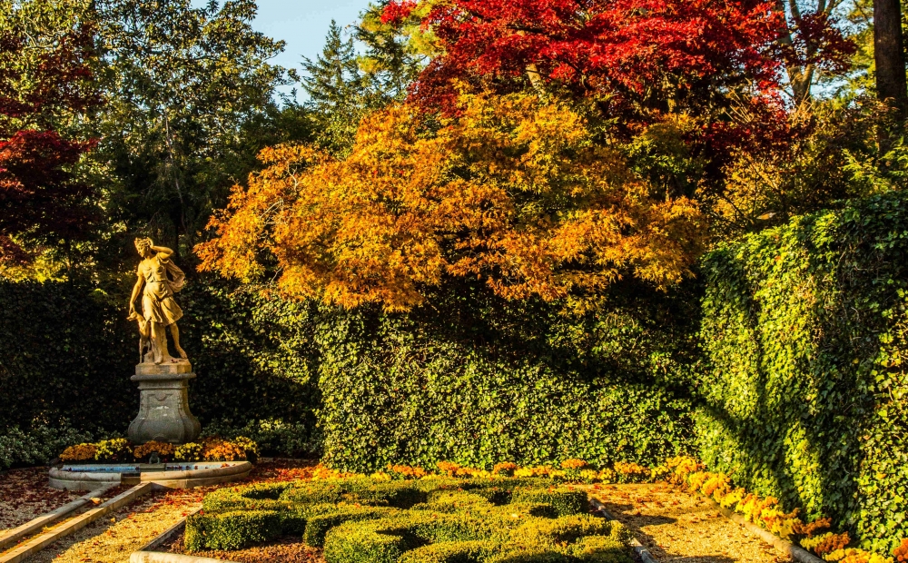 The French Parterre in fall. Photographed by Erik Kvalsvik, 2018.