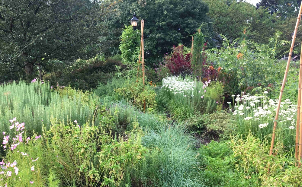 Hillwood's herb garden