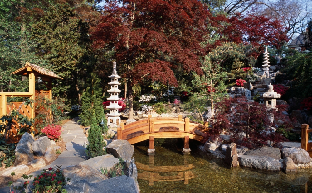 Japanese-style Garden Bridge hardstone path red maples and green conifers