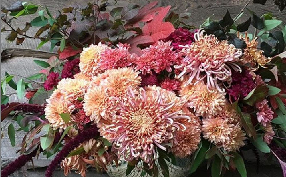 Pink and orange chrysanthemums, accented by red and green foliage 