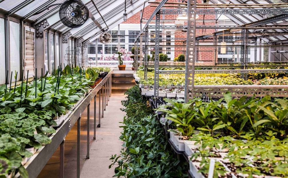 The propagation greenhouse