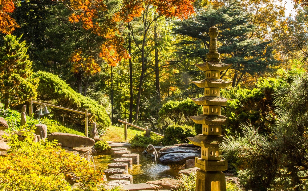 The Japanese-style garden in fall