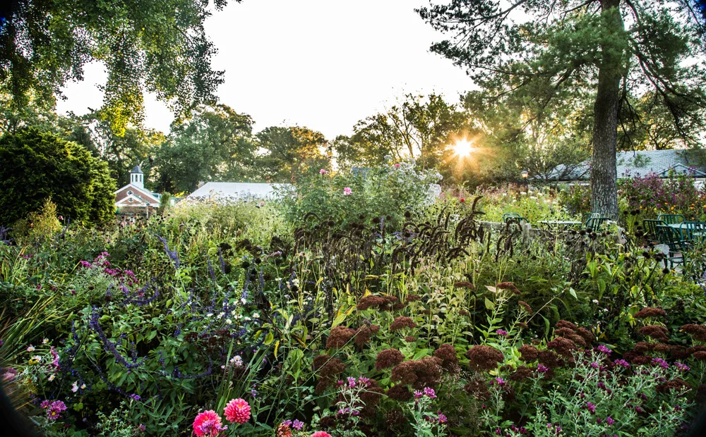The cutting garden