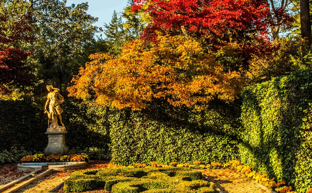 The French parterre in fall