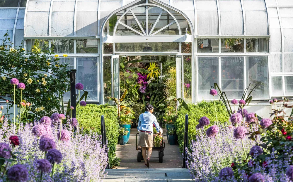 The entrance to the greenhouse