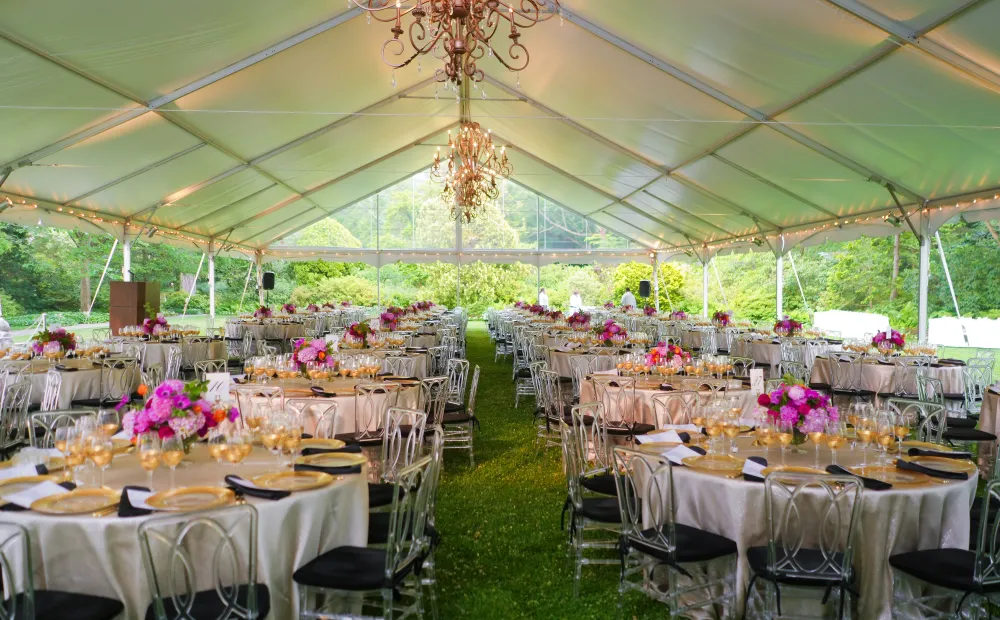 Light Up the Night Gala, 2023
