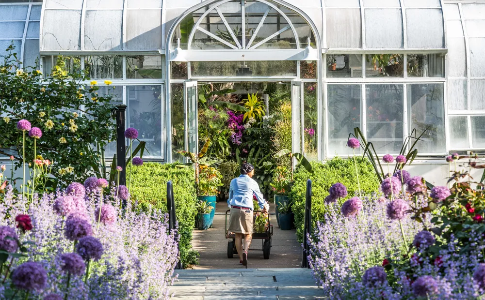 Exterior of the greenhouse in spring