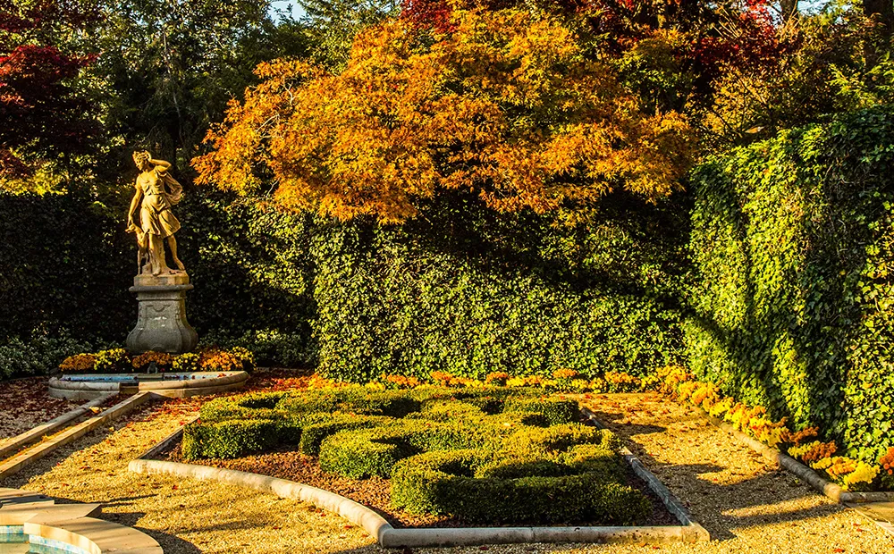 Fall foliage in the French parterre