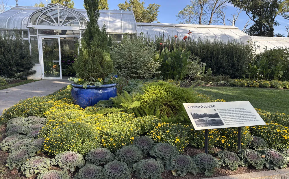 Just a small part of the fall seasonal display at the greenhouse